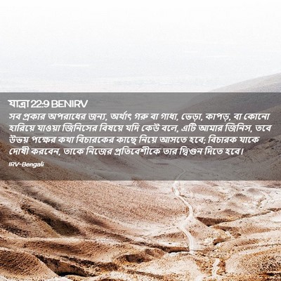 Picture 02 - যাত্ৰা 22:9 BENIRV - সব প্রকার অপরাধের - Bible Verse Picture