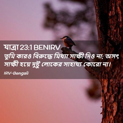Picture 02 - যাত্ৰা 23:1 BENIRV - তুমি কারও - Bible Verse Picture