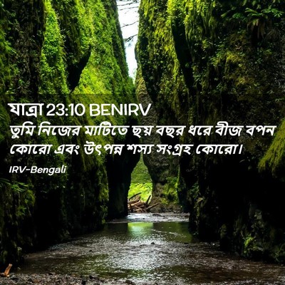 Picture 02 - যাত্ৰা 23:10 BENIRV - তুমি নিজের মাটিতে - Bible Verse Picture