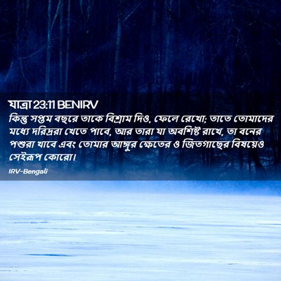 Picture 02 - যাত্ৰা 23:11 BENIRV - কিন্তু সপ্তম বছরে - Bible Verse Picture