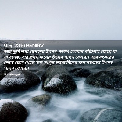 Picture 02 - যাত্ৰা 23:16 BENIRV - আর তুমি শস্য - Bible Verse Picture
