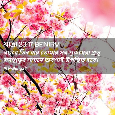 Picture 02 - যাত্ৰা 23:17 BENIRV - বছরে তিন বার তোমার - Bible Verse Picture
