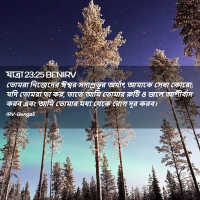 Picture 02 - যাত্ৰা 23:25 BENIRV - তোমরা নিজেদের - Bible Verse Picture