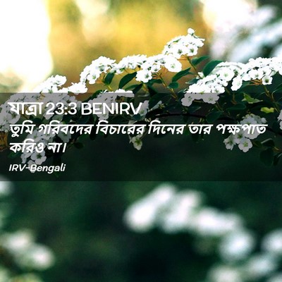 Picture 02 - যাত্ৰা 23:3 BENIRV - তুমি গরিবদের - Bible Verse Picture