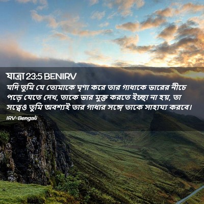 Picture 02 - যাত্ৰা 23:5 BENIRV - যদি তুমি যে তোমাকে - Bible Verse Picture