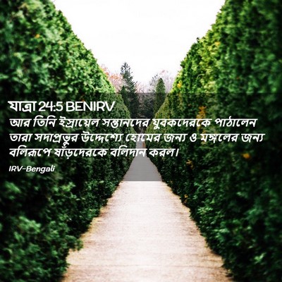 Picture 02 - যাত্ৰা 24:5 BENIRV - আর তিনি ইস্রায়েল - Bible Verse Picture