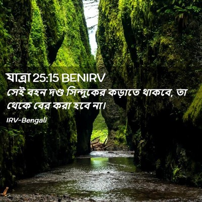 Picture 02 - যাত্ৰা 25:15 BENIRV - সেই বহন দণ্ড - Bible Verse Picture