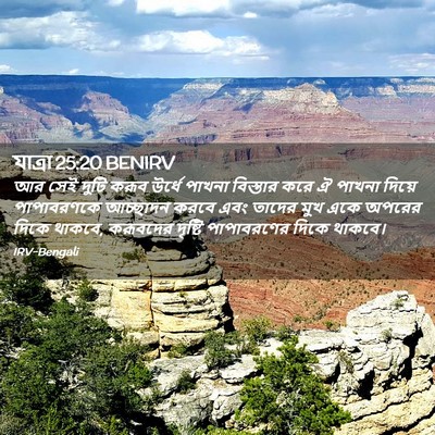 Picture 02 - যাত্ৰা 25:20 BENIRV - আর সেই দুটি করূব - Bible Verse Picture