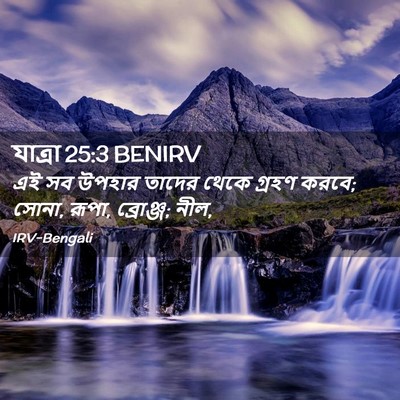 Picture 02 - যাত্ৰা 25:3 BENIRV - এই সব উপহার তাদের - Bible Verse Picture