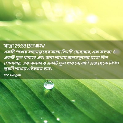 Picture 02 - যাত্ৰা 25:33 BENIRV - একটি শাখায় - Bible Verse Picture