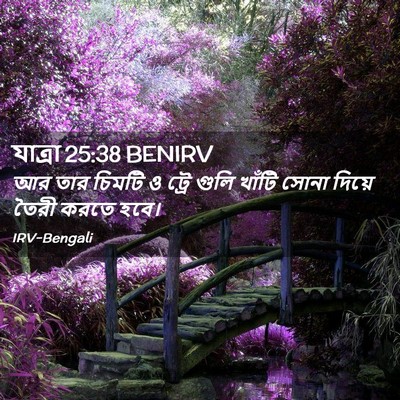 Picture 02 - যাত্ৰা 25:38 BENIRV - আর তার চিমটি ও ট্রে - Bible Verse Picture