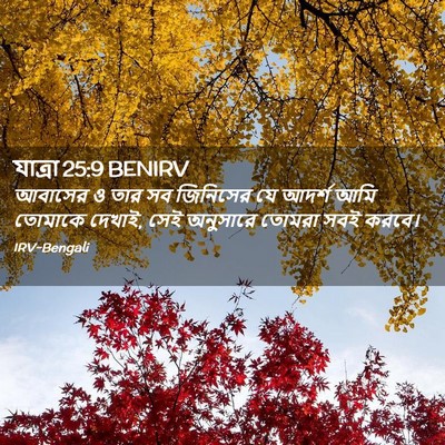 Picture 02 - যাত্ৰা 25:9 BENIRV - আবাসের ও তার সব - Bible Verse Picture