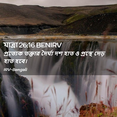 Picture 02 - যাত্ৰা 26:16 BENIRV - প্রত্যেক তক্তার - Bible Verse Picture
