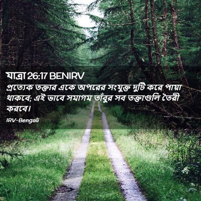 Picture 02 - যাত্ৰা 26:17 BENIRV - প্রত্যেক তক্তার - Bible Verse Picture