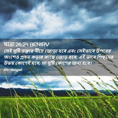 Picture 02 - যাত্ৰা 26:24 BENIRV - সেই দুটি তক্তার - Bible Verse Picture