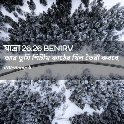 Picture 02 - যাত্ৰা 26:26 BENIRV - আর তুমি শিটীম - Bible Verse Picture