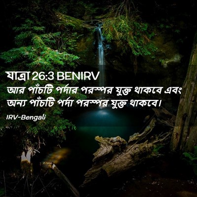 Picture 02 - যাত্ৰা 26:3 BENIRV - আর পাঁচটি পর্দার - Bible Verse Picture