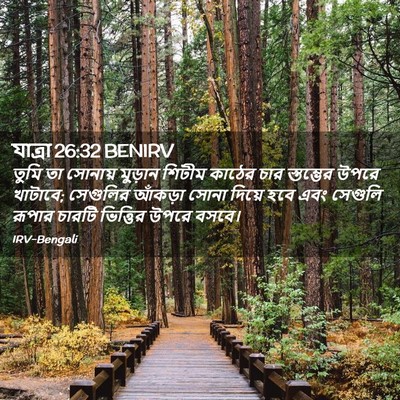 Picture 02 - যাত্ৰা 26:32 BENIRV - তুমি তা সোনায় - Bible Verse Picture
