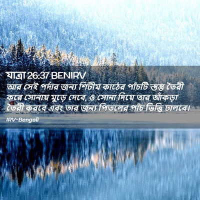 Picture 02 - যাত্ৰা 26:37 BENIRV - আর সেই পর্দার জন্য - Bible Verse Picture