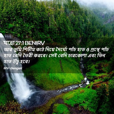 Picture 02 - যাত্ৰা 27:1 BENIRV - আর তুমি শিটীম কাঠ - Bible Verse Picture