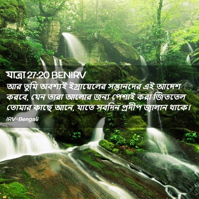 Picture 02 - যাত্ৰা 27:20 BENIRV - আর তুমি অবশ্যই - Bible Verse Picture