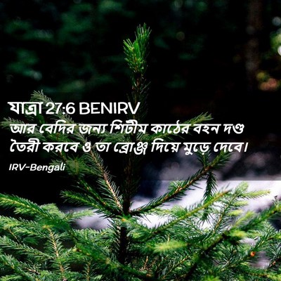 Picture 02 - যাত্ৰা 27:6 BENIRV - আর বেদির জন্য - Bible Verse Picture