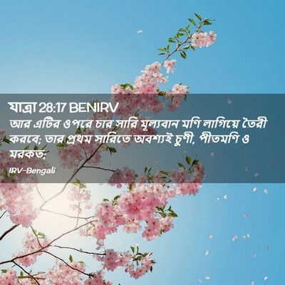 Picture 02 - যাত্ৰা 28:17 BENIRV - আর এটির ওপরে চার - Bible Verse Picture