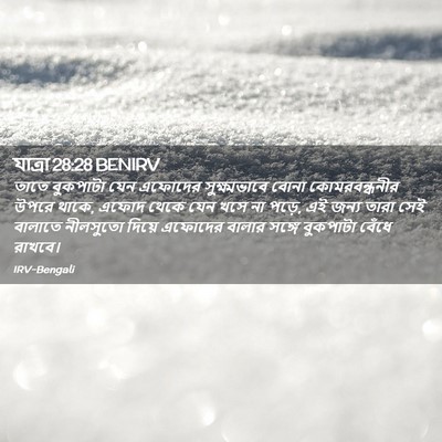 Picture 02 - যাত্ৰা 28:28 BENIRV - তাতে বুকপাটা যেন - Bible Verse Picture