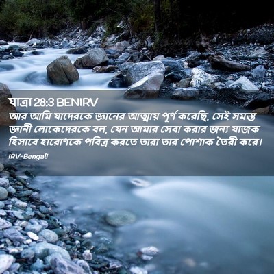 Picture 02 - যাত্ৰা 28:3 BENIRV - আর আমি যাদেরকে - Bible Verse Picture
