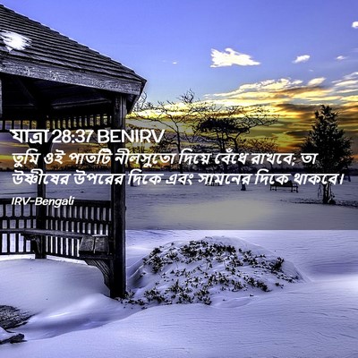 Picture 02 - যাত্ৰা 28:37 BENIRV - তুমি ওই পাতটি - Bible Verse Picture