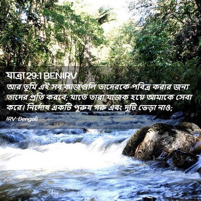 Picture 02 - যাত্ৰা 29:1 BENIRV - আর তুমি এই সব - Bible Verse Picture