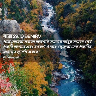 Picture 02 - যাত্ৰা 29:10 BENIRV - পরে তোমরা সকলে - Bible Verse Picture
