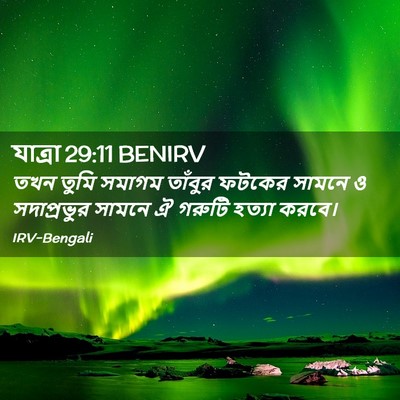Picture 02 - যাত্ৰা 29:11 BENIRV - তখন তুমি সমাগম - Bible Verse Picture