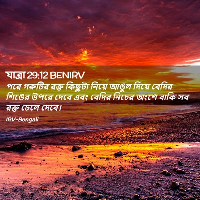 Picture 02 - যাত্ৰা 29:12 BENIRV - পরে গরুটির রক্ত - Bible Verse Picture