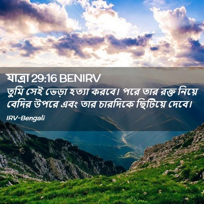 Picture 02 - যাত্ৰা 29:16 BENIRV - তুমি সেই ভেড়া - Bible Verse Picture