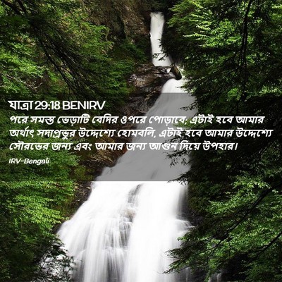 Picture 02 - যাত্ৰা 29:18 BENIRV - পরে সমস্ত ভেড়াটি - Bible Verse Picture