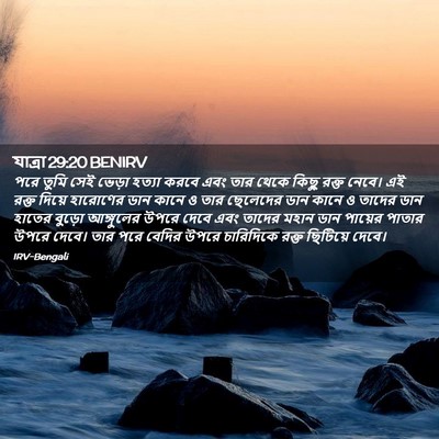 Picture 02 - যাত্ৰা 29:20 BENIRV - পরে তুমি সেই ভেড়া - Bible Verse Picture