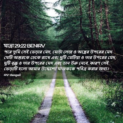 Picture 02 - যাত্ৰা 29:22 BENIRV - পরে তুমি সেই - Bible Verse Picture