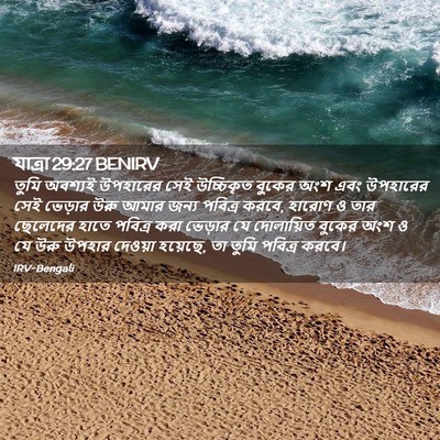 Picture 02 - যাত্ৰা 29:27 BENIRV - তুমি অবশ্যই - Bible Verse Picture