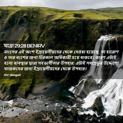 Picture 02 - যাত্ৰা 29:28 BENIRV - মাংসের এই অংশ - Bible Verse Picture