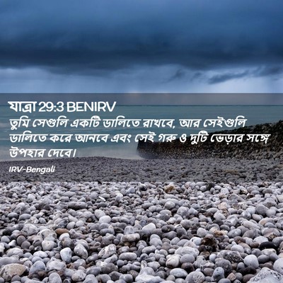Picture 02 - যাত্ৰা 29:3 BENIRV - তুমি সেগুলি একটি - Bible Verse Picture