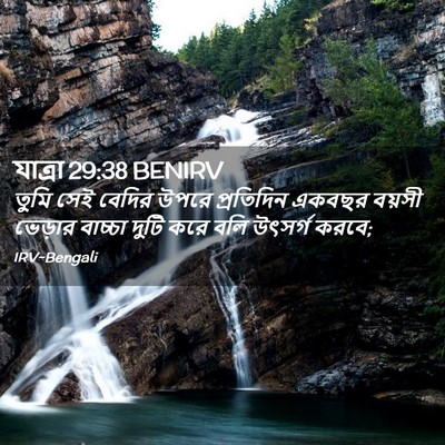 Picture 02 - যাত্ৰা 29:38 BENIRV - তুমি সেই বেদির - Bible Verse Picture