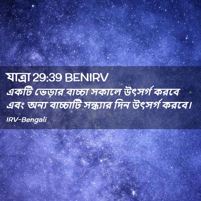 Picture 02 - যাত্ৰা 29:39 BENIRV - একটি ভেড়ার - Bible Verse Picture