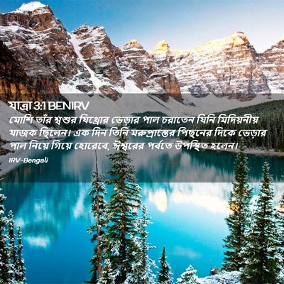 Picture 02 - যাত্ৰা 3:1 BENIRV - মোশি তাঁর শ্বশুর - Bible Verse Picture