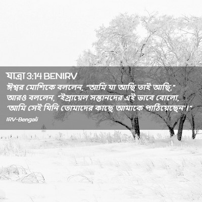 Picture 02 - যাত্ৰা 3:14 BENIRV - ঈশ্বর মোশিকে - Bible Verse Picture