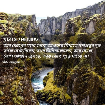 Picture 02 - যাত্ৰা 3:2 BENIRV - আর ঝোপের মধ্যে - Bible Verse Picture