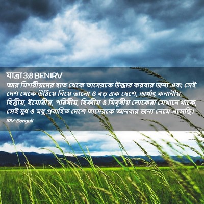 Picture 02 - যাত্ৰা 3:8 BENIRV - আর মিশরীয়দের হাত - Bible Verse Picture