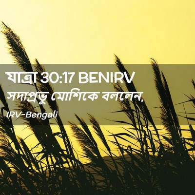 Picture 02 - যাত্ৰা 30:17 BENIRV - সদাপ্রভু মোশিকে - Bible Verse Picture