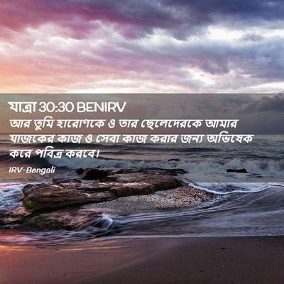 Picture 02 - যাত্ৰা 30:30 BENIRV - আর তুমি হারোণকে ও - Bible Verse Picture