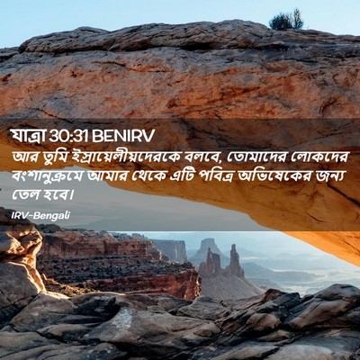 Picture 02 - যাত্ৰা 30:31 BENIRV - আর তুমি - Bible Verse Picture